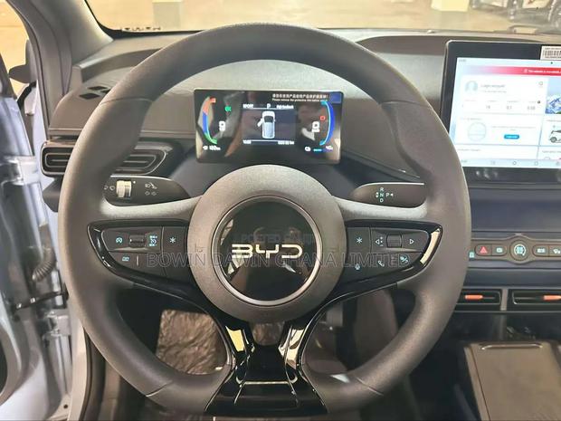 New BYD Seagull 2025 Blue photo 14