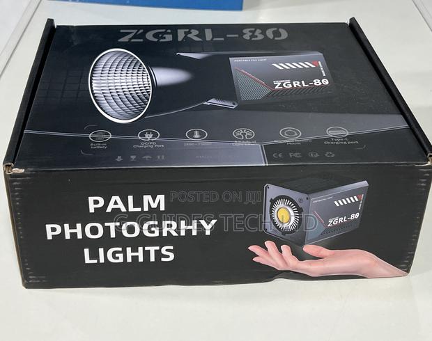 ZGRL-80 Palm Cob Video Light With Inbuilt Battery and Stand photo 4