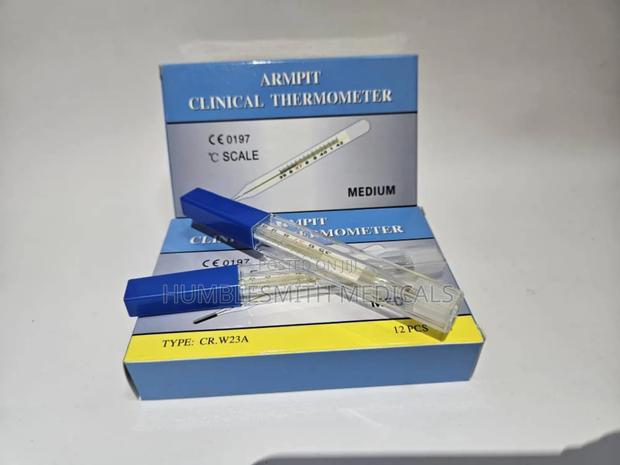 Clinical Thermometer · Photo 2