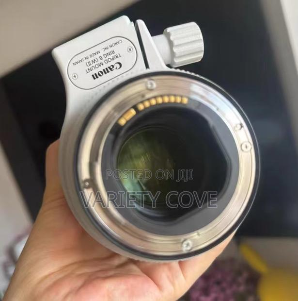 Canon Ef 70-200mm F/2.8l Is Iii Usm Lens photo 2