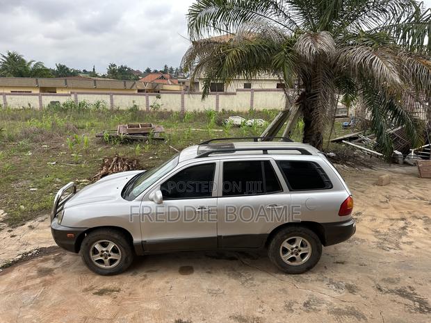 Hyundai Santa Fe 2007 Silver
