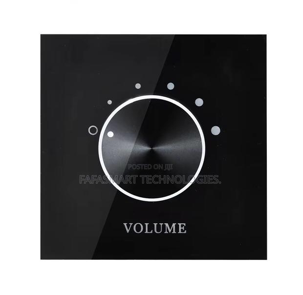 Stereo Volume Control photo 3