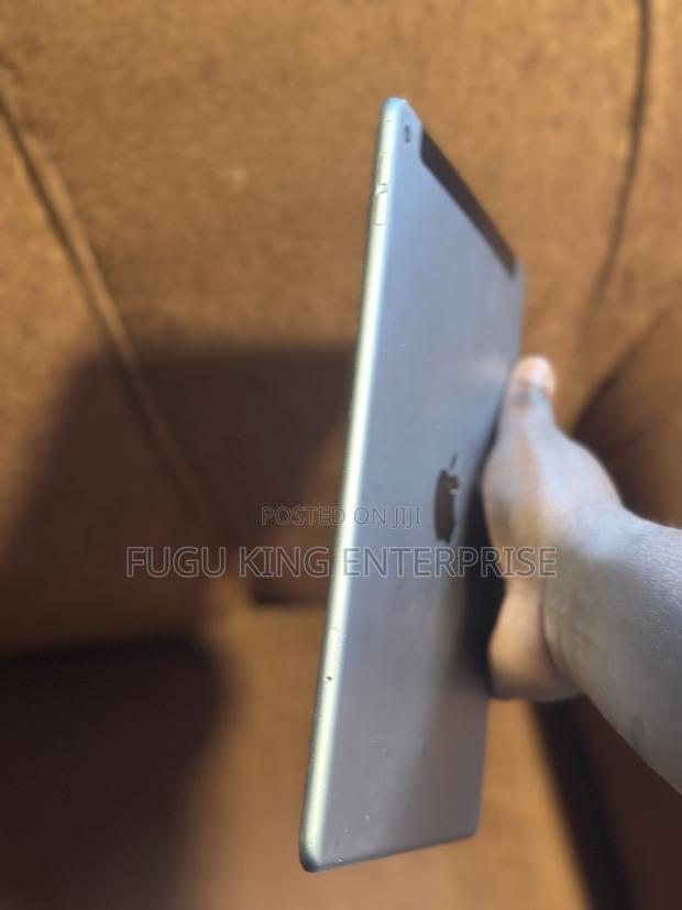 Apple iPad Air 2 16 GB Silver photo 4