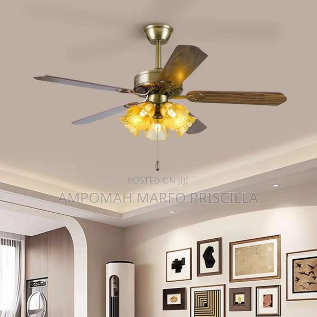 Fan Light With Remote Control photo 4