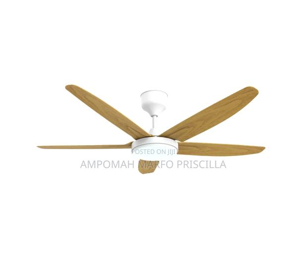 Fan Light With Remote Control photo 5
