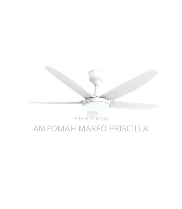 Fan Light With Remote Control photo 6
