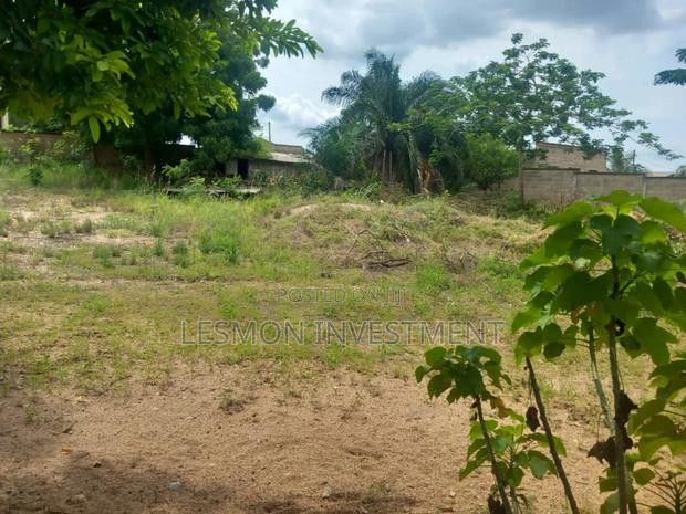 1 Acre Land for Sale · Photo 3