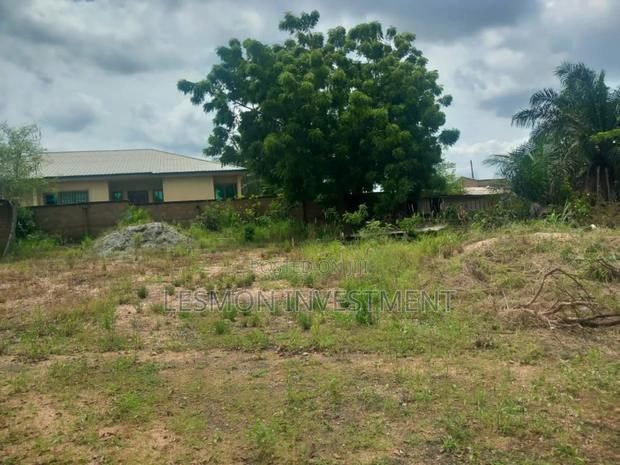 1 Acre Land for Sale · Photo 4