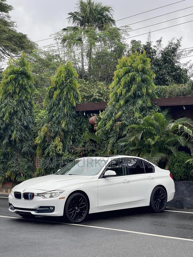 BMW 320i Sedan RWD 2014 White photo 4