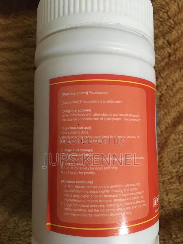 Praziquantel Tablets (Dewormer) · Photo 4