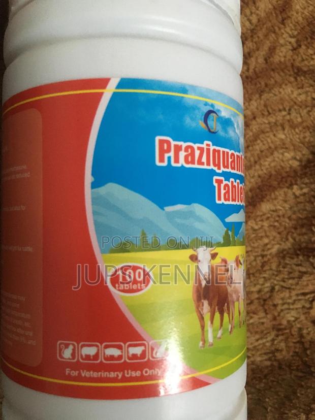 Praziquantel Tablets (Dewormer) · Photo 3