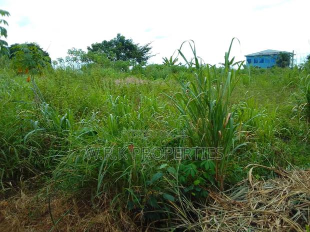 2 Plots of Land for Sale · Photo 2