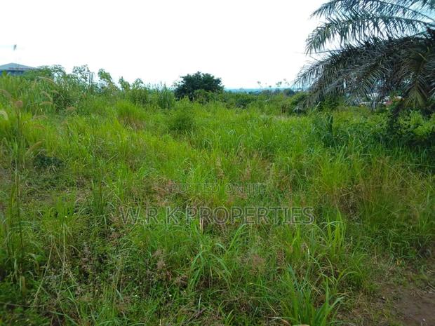 2 Plots of Land for Sale · Photo 3