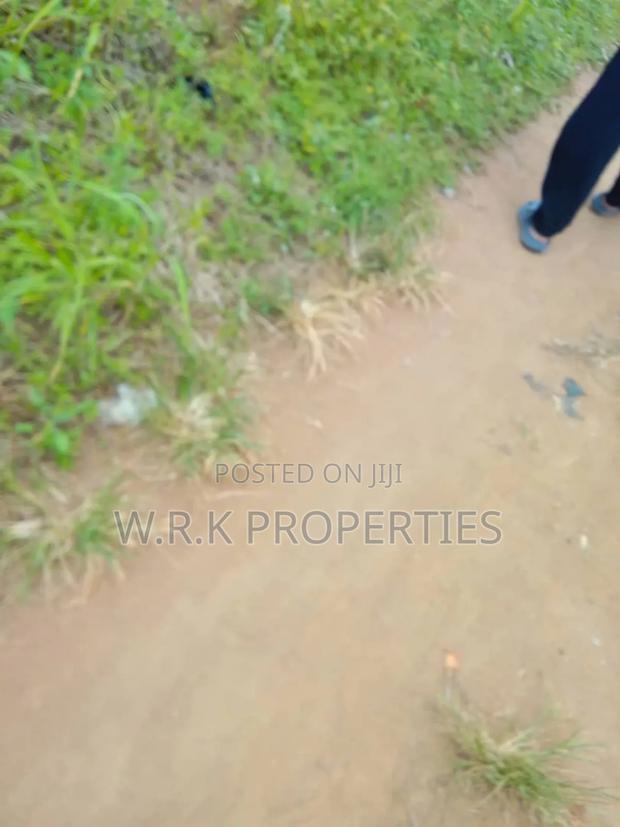 2 Plots of Land for Sale · Photo 4