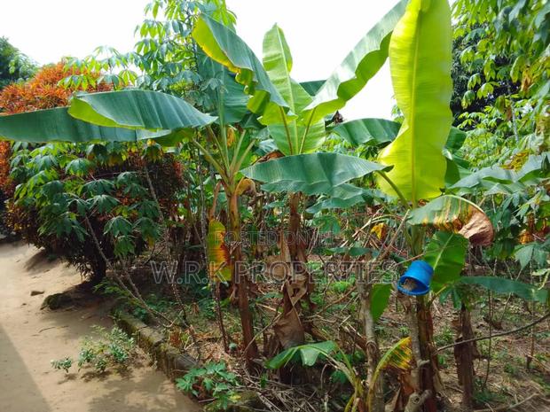 3 Plots of Land for Sale at Koforidua · Photo 3
