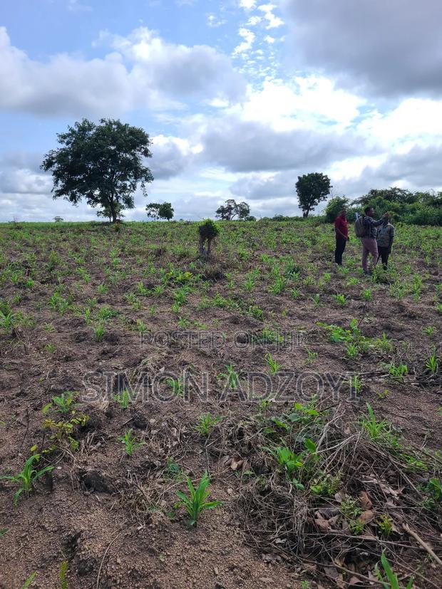 1000 Acres Available for Sale or Lease