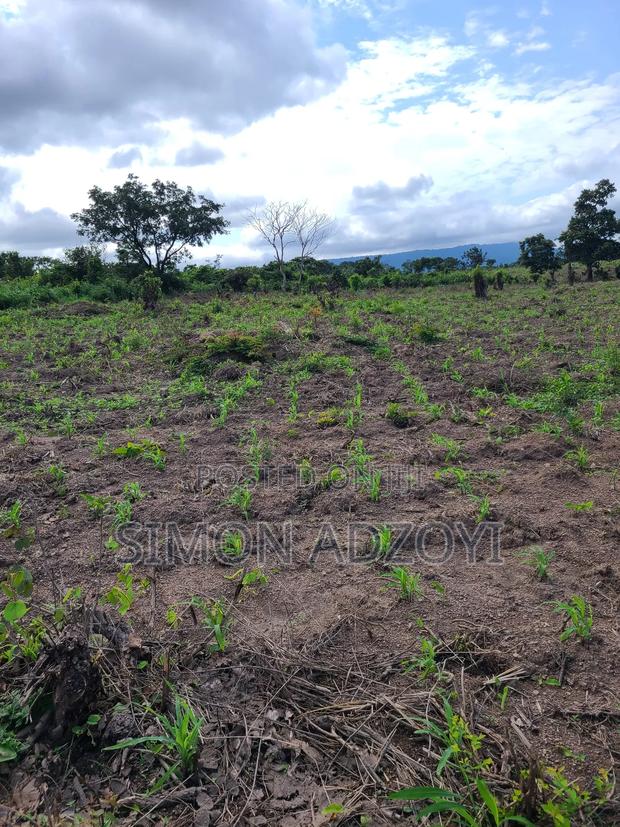 1000 Acres Available for Sale or Lease