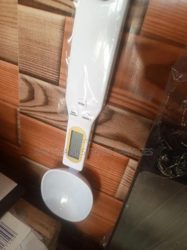 Measuring Scaling Sppoon · Photo 3