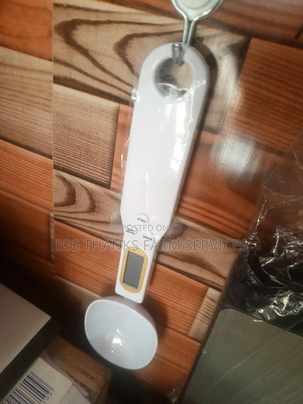 Measuring Scaling Sppoon · Photo 4