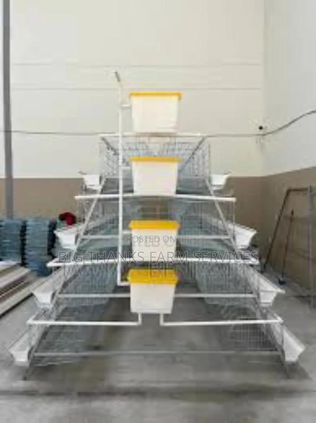 Battery Cage, A Shape 160 Cap, 4 Tier · Photo 2