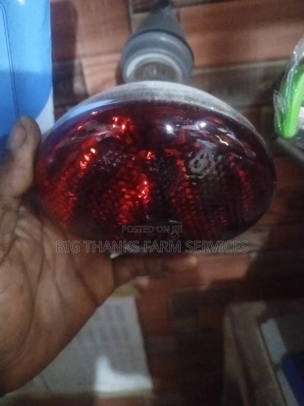 Brooding Lamps, Different Sizes · Photo 2