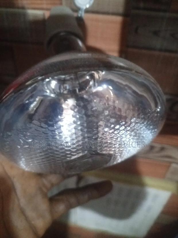Brooder Lamps · Photo 2