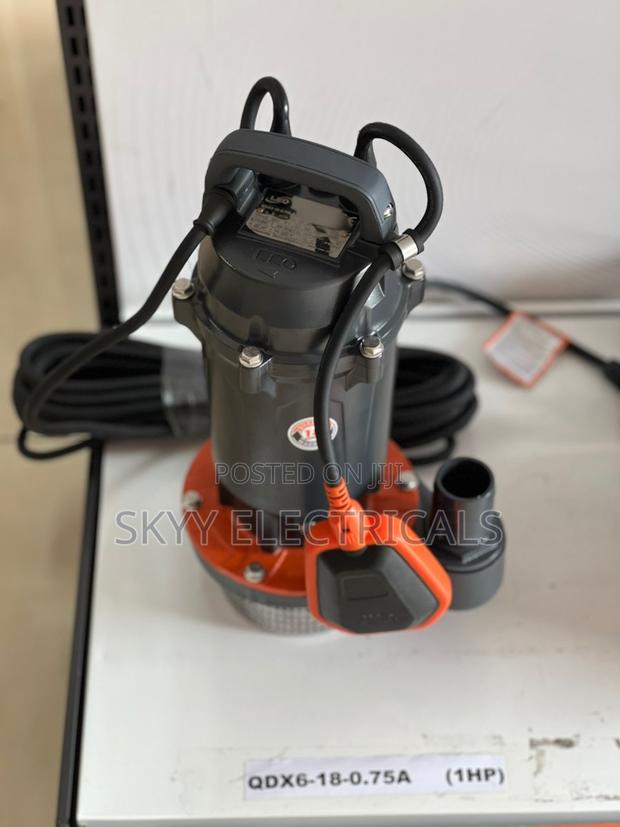 Leo Qdx 1hp Submersible Electric Drainage Pump · Photo 2