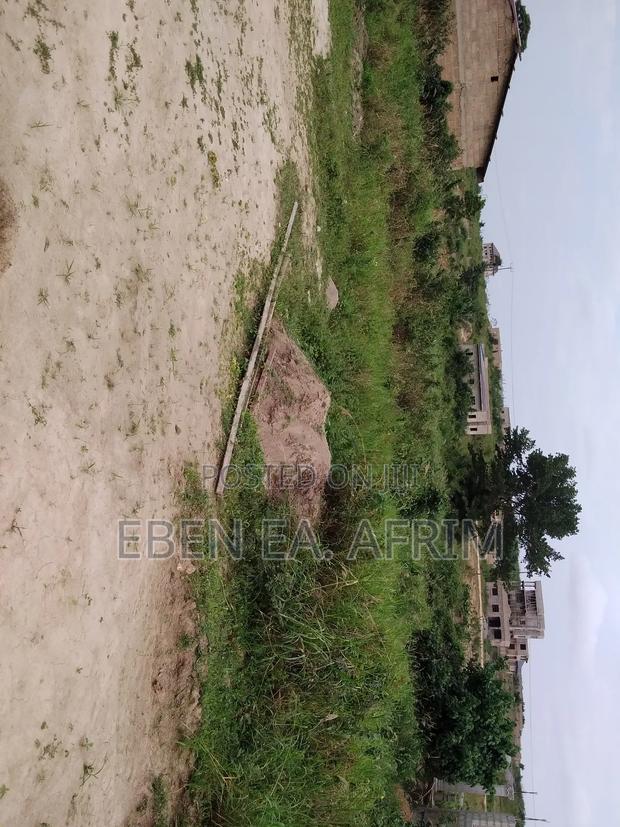 Half Plot of Land · Photo 4
