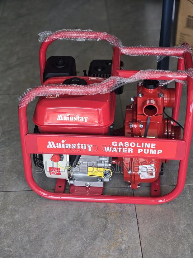 Mainstay 3 Inches Water Pump 6 Hp photo 2