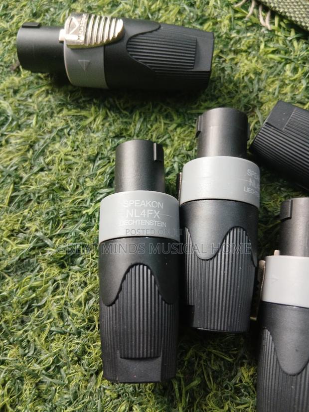 Original Speaker Speakons (Park) · Photo 4