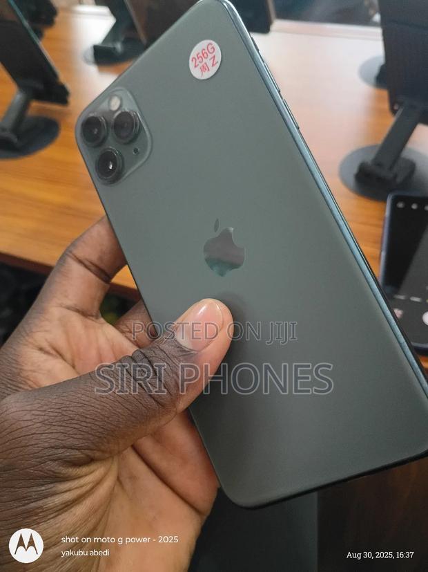 Apple iPhone 11 Pro Max 256 GB Gray
