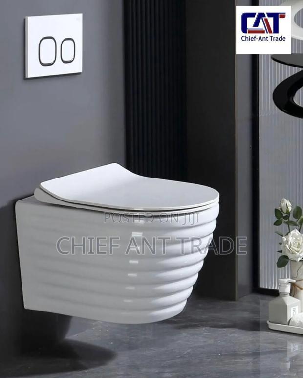 Concealed Toilet Seat Wc. Wall Wc · Photo 2