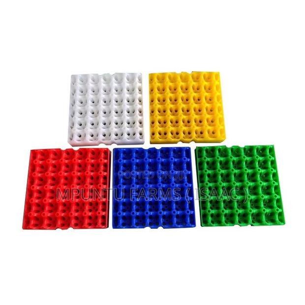 Plastic Crates photo 2
