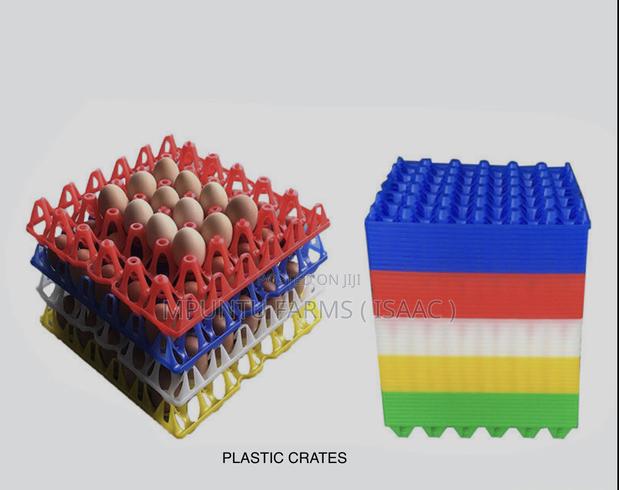 Plastic Crates