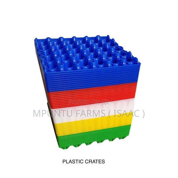 Plastic Crates photo 3
