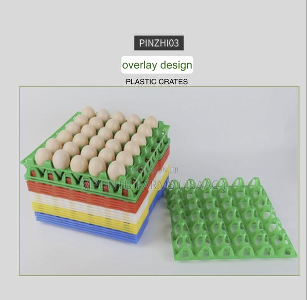 Plastic Crates photo 8