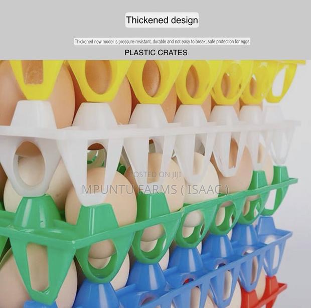 Plastic Crates photo 6