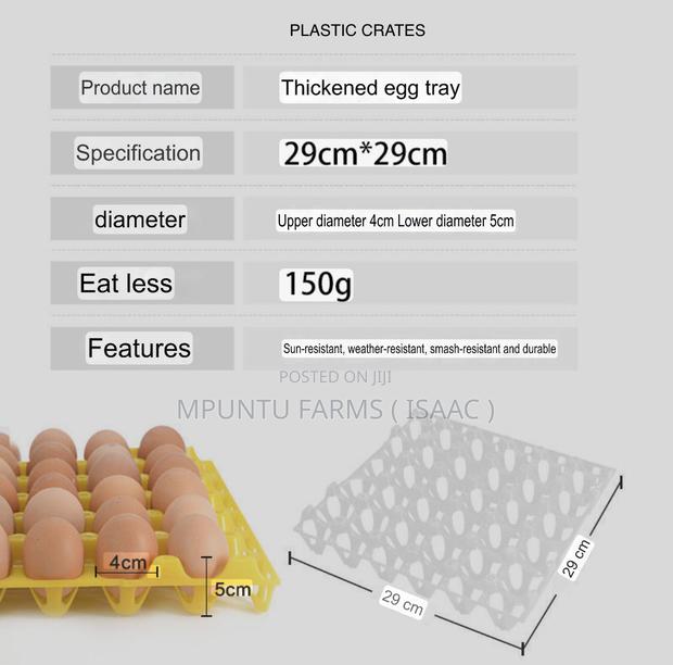 Plastic Crates photo 9