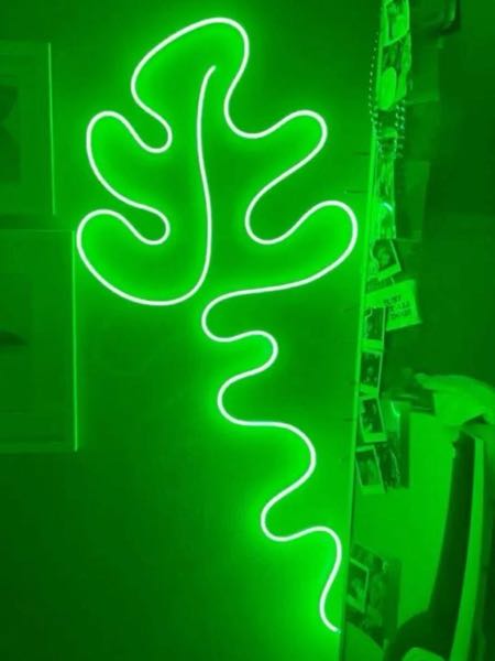 Neon Multi Color Strip light 5M