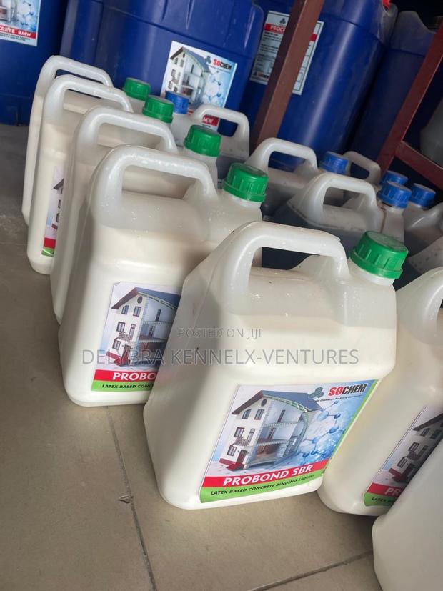 Probond SBR (Solution for Salt in Walls) photo 2