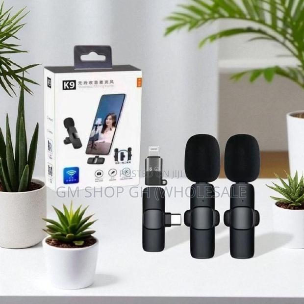 Long Battery Life 2 in 1 Wireless Microphone (35544) · Photo 3