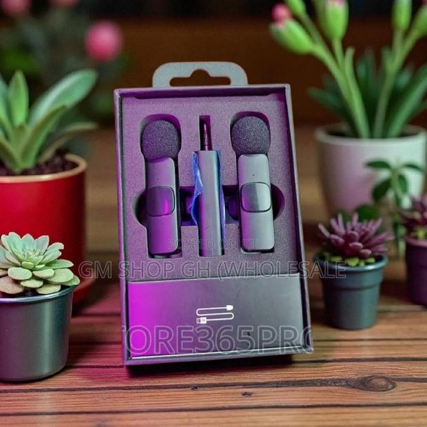 Long Battery Life 2 in 1 Wireless Microphone (35544) · Photo 4