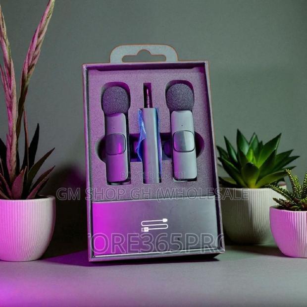 Portable/Mini/Wireless Microphone (435566) · Photo 3