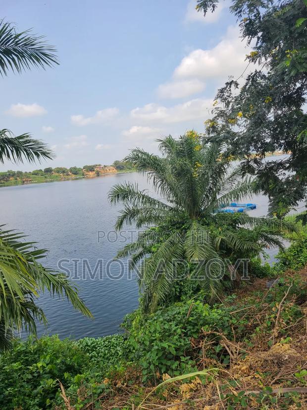10,000 River Front Farm Land for Rent.