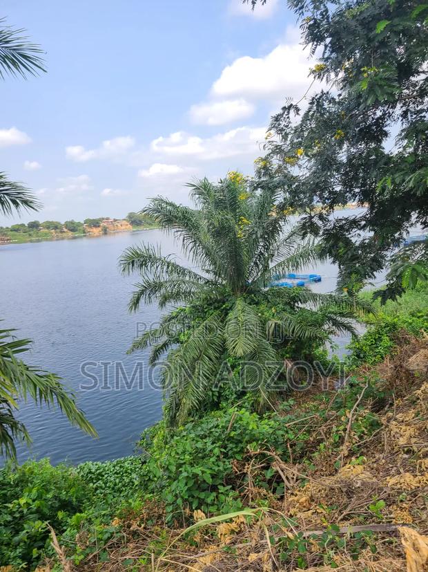 10,000 River Front Farm Land for Rent.