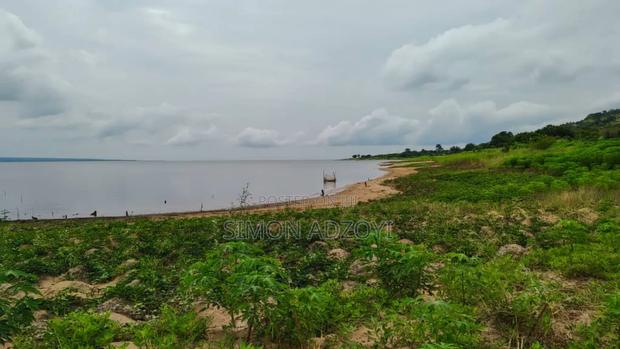 10,000 River Front Farm Land for Rent.