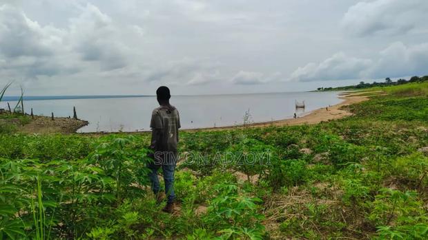 10,000 River Front Farm Land for Rent.