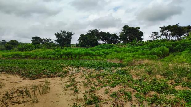 10,000 River Front Farm Land for Rent.
