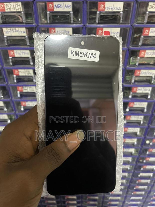 Spark Go 2 Screen Replacement