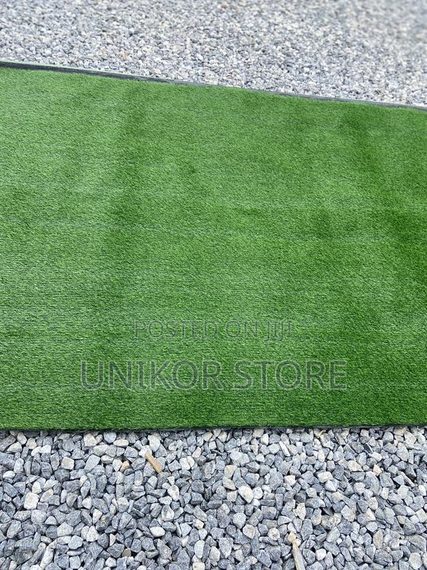 Landscaping Carpet Grass photo 2